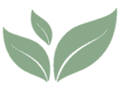 Kimono Tea Ceremony Japan